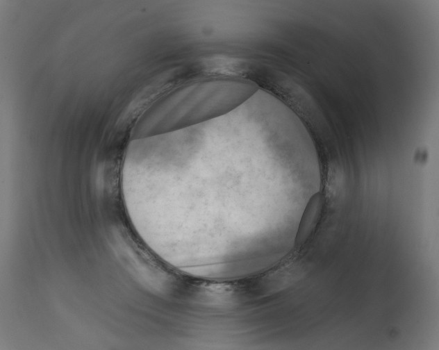 X0000112760409200909171254