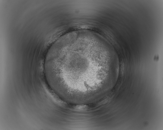 X0000112760410200909171254