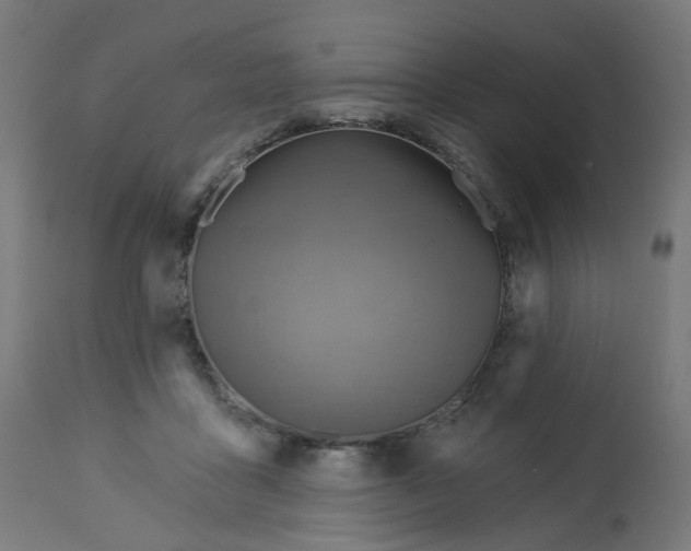 X0000112760411200909171254