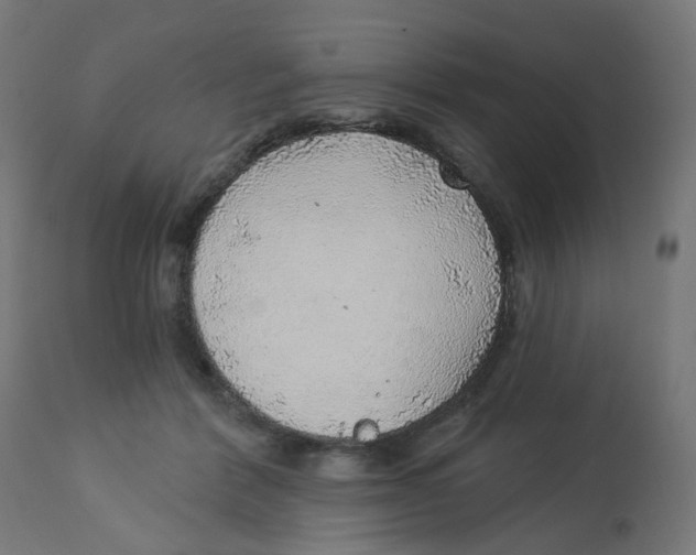X0000112760412200909171254