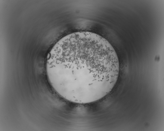 X0000112760416200909171254