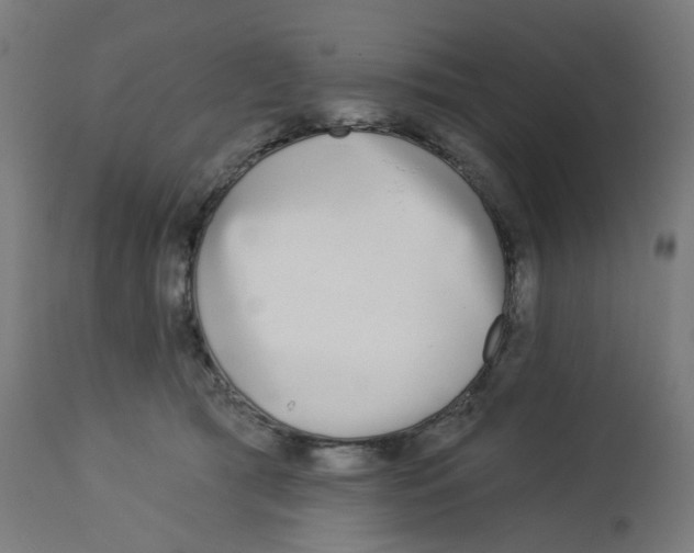 X0000112760417200909171254