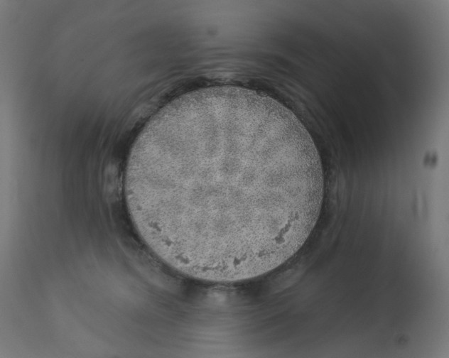 X0000112760420200909171254