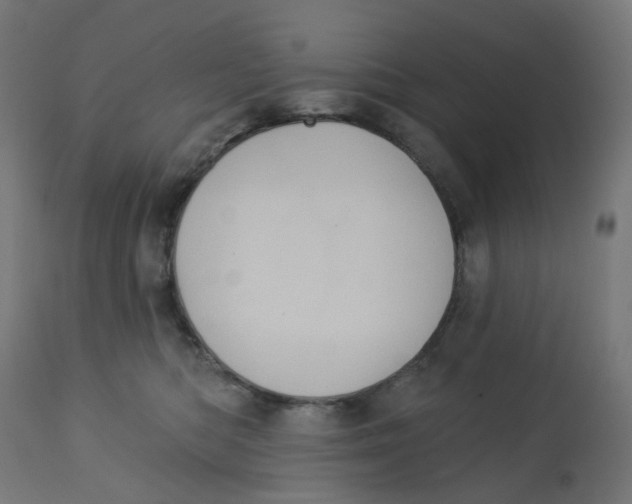 X0000112760422200909171254