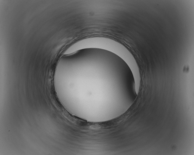 X0000112760423200909171254