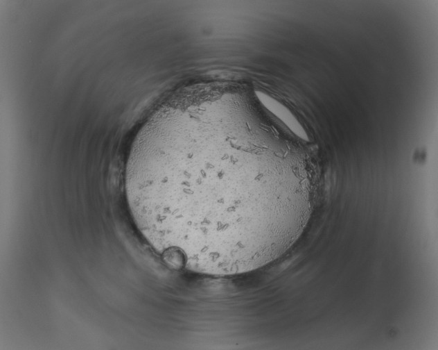 X0000112760424200909171254