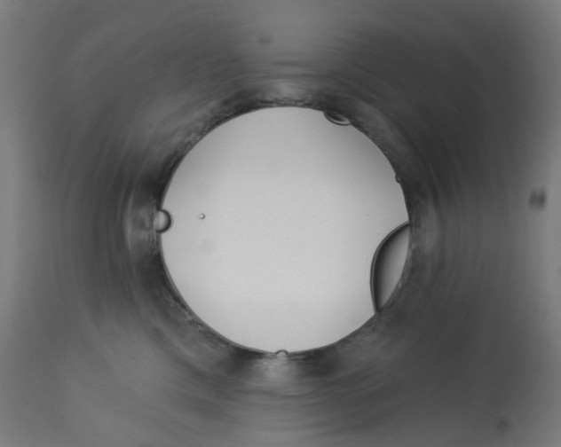 X0000112760425200909171254