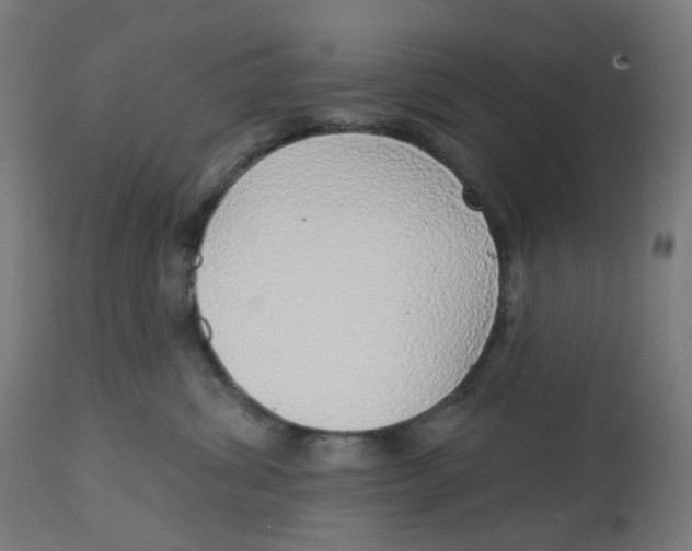 X0000112760428200909171254