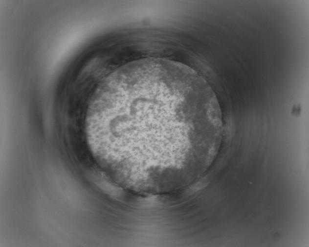 X0000112760430200909171254