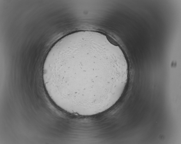 X0000112760433200909171253