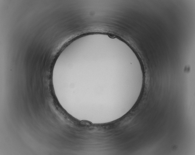 X0000112760434200909171253
