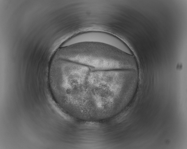 X0000112760437200909171253