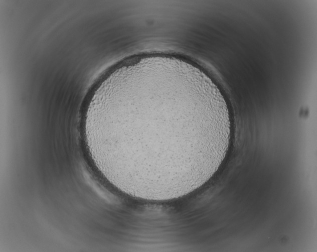 X0000112760439200909171253