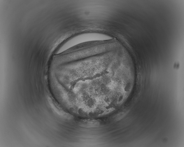 X0000112760443200909171253