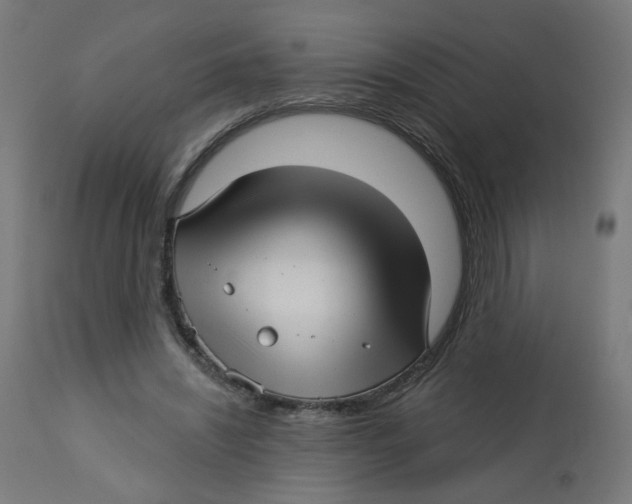 X0000112760444200909171253