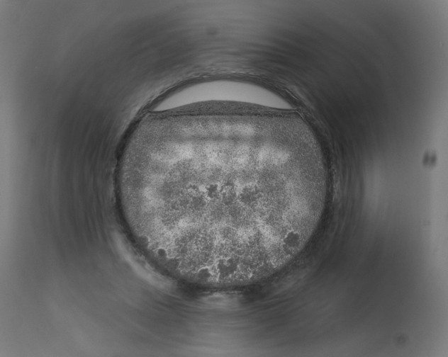 X0000112760447200909171253