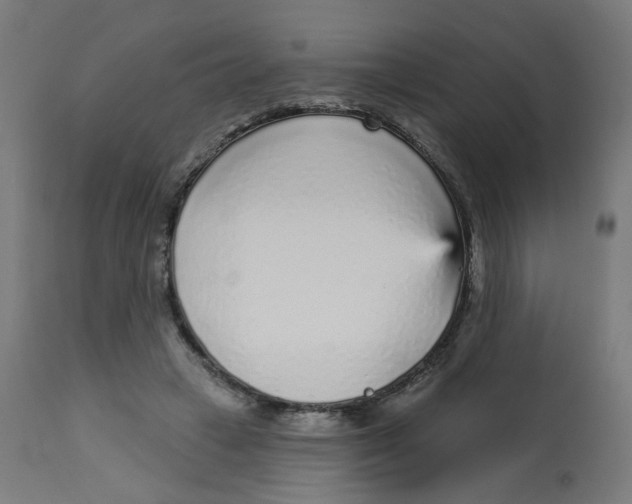 X0000112760449200909171253