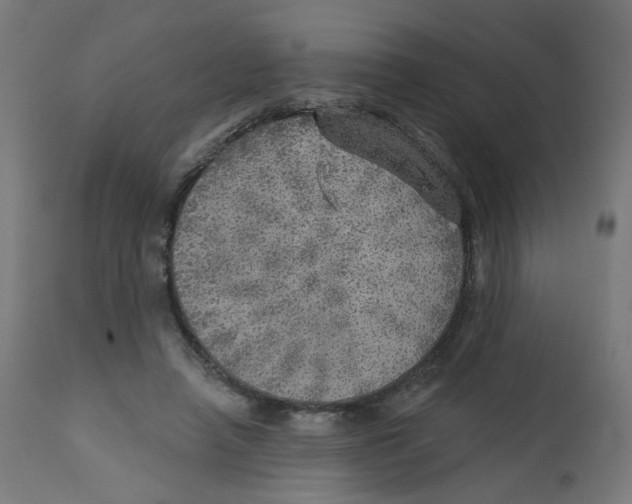 X0000112760450200909171253