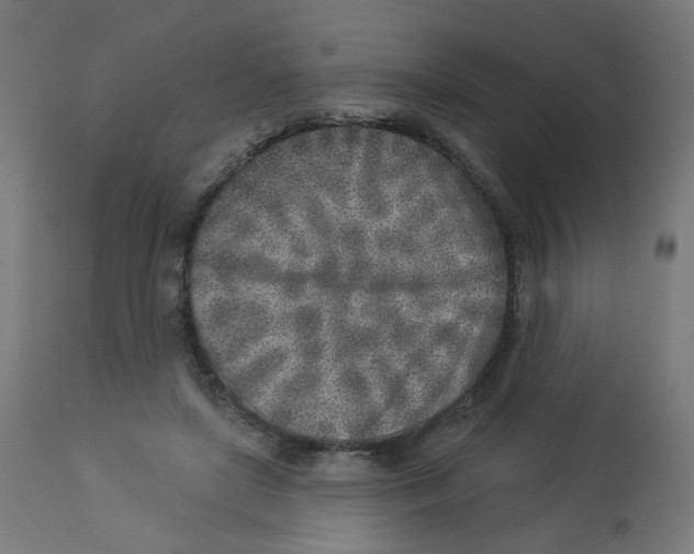X0000112760451200909171253