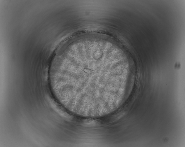 X0000112760454200909171253