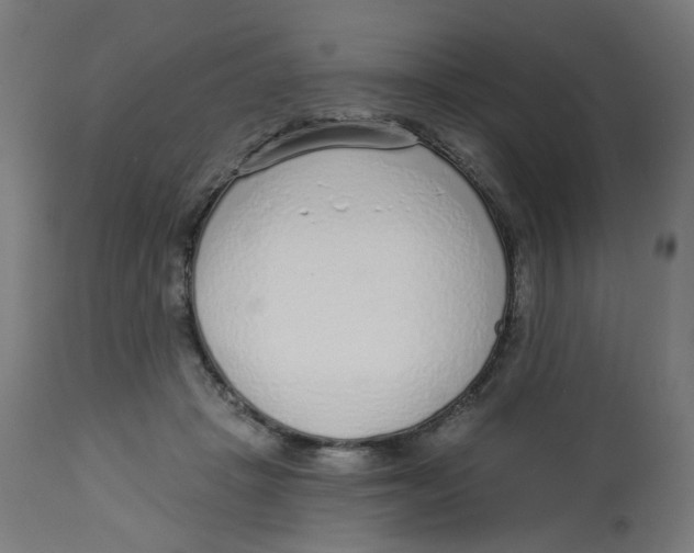 X0000112760457200909171253