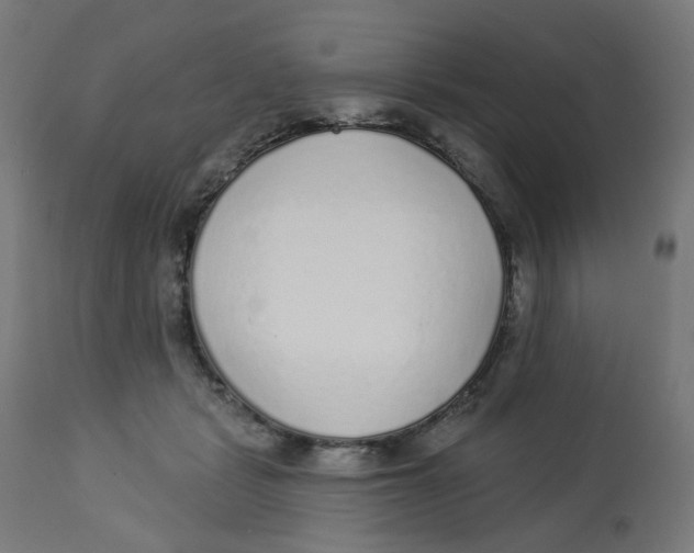 X0000112760461200909171253