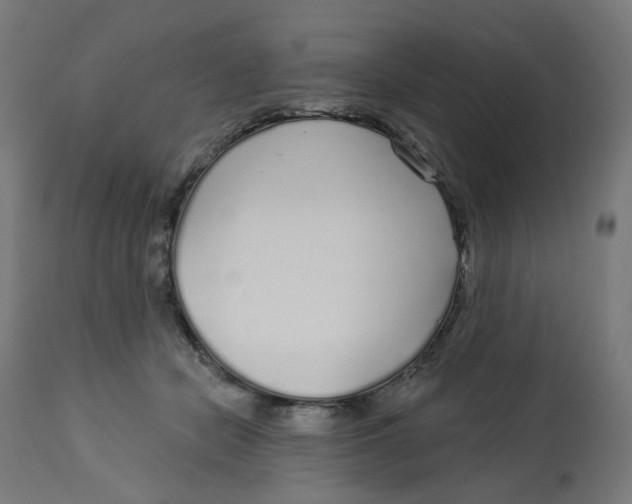 X0000112760462200909171253