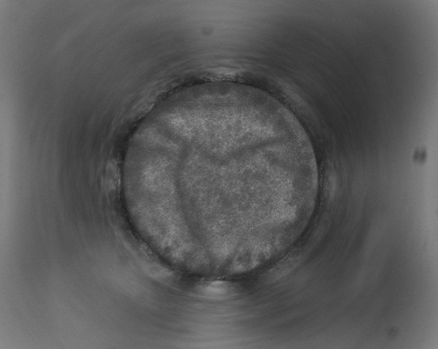 X0000112760467200909171254