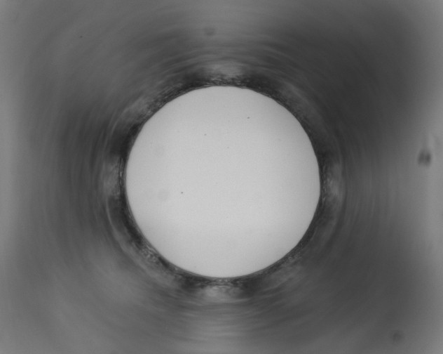X0000112760468200909171254