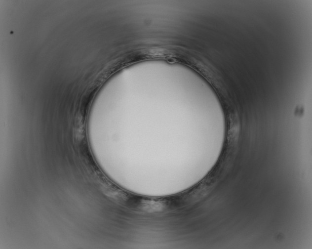 X0000112760469200909171254