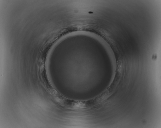 X0000112760471200909171254