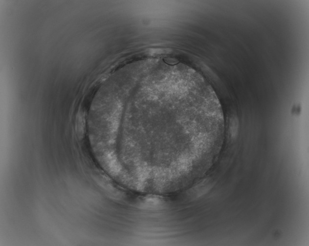X0000112760475200909171254