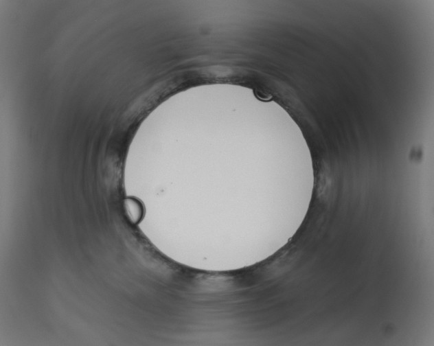 X0000112760476200909171254