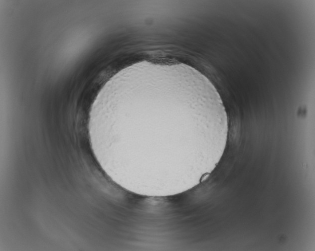 X0000112760477200909171254