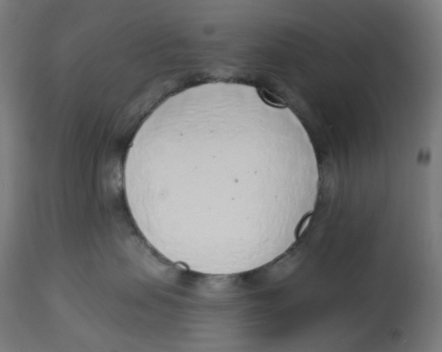 X0000112760479200909171254