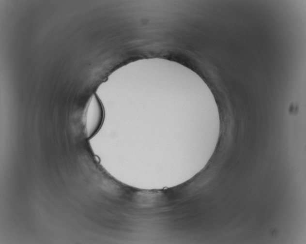 X0000112760480200909171254