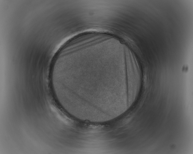 X0000112760484200909171253