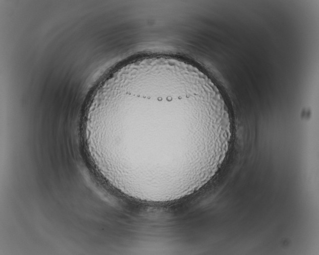 X0000112760487200909171253