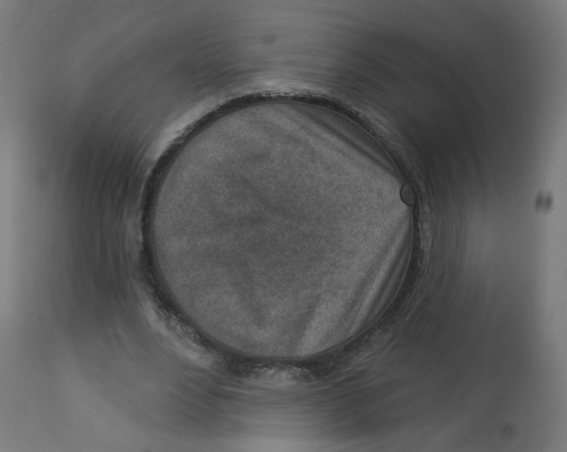 X0000112760488200909171253