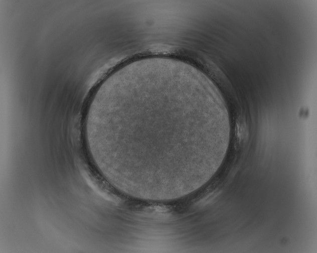 X0000112760492200909171253