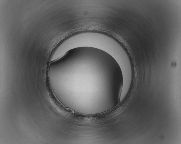 X0000112760493200909171253