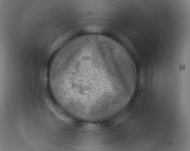 X0000112760494200909171253
