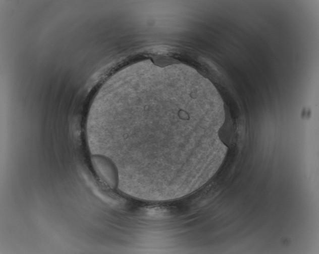 X0000112760500200909171253