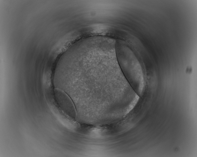 X0000112760504200909171253