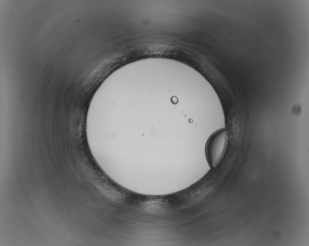 X0000112760505200909171253