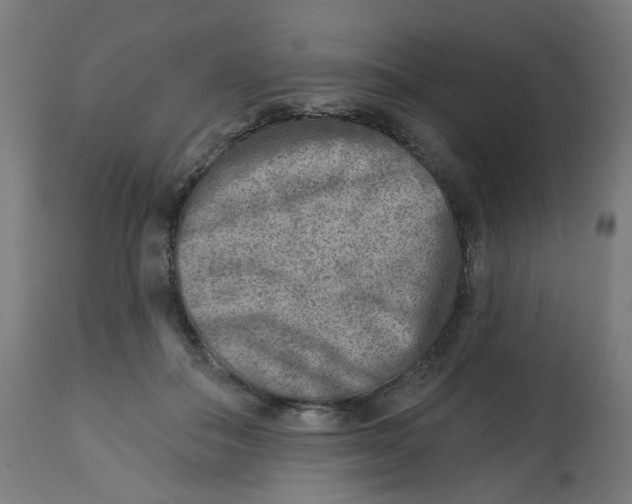 X0000112760506200909171253