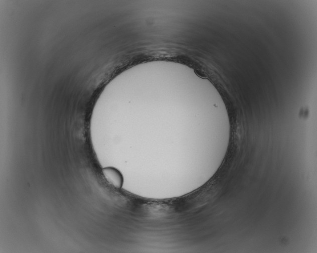 X0000112760512200909171252