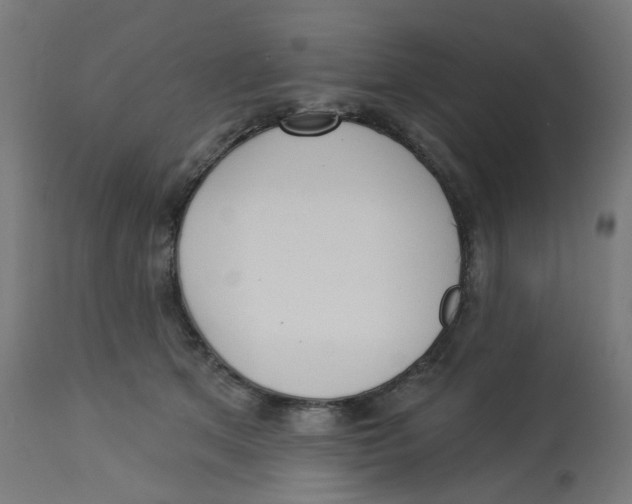 X0000112760513200909171252
