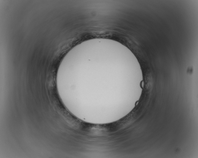 X0000112760515200909171252