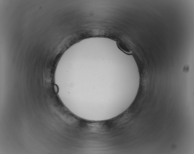X0000112760516200909171252